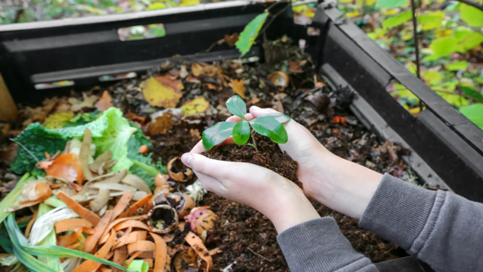 food waste composting