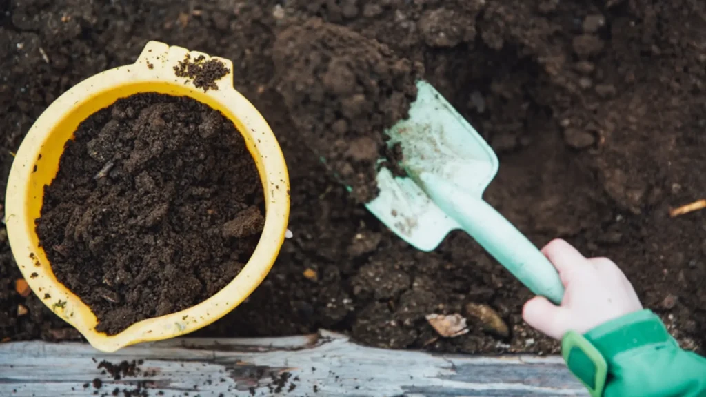 organic compost