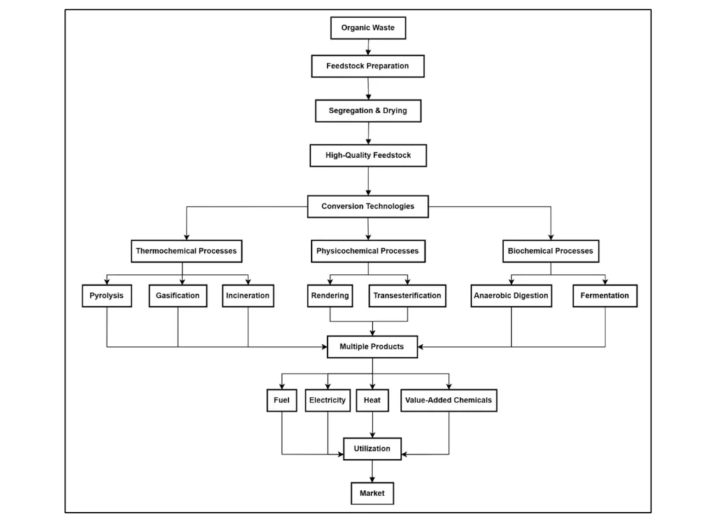 Biochemical biorefinery: A low-cost and non-waste concept for